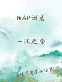 WAP浏览