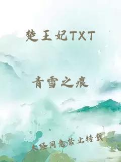 楚王妃TXT