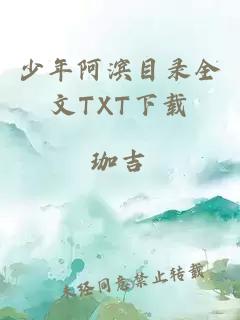 少年阿滨目录全文TXT下载