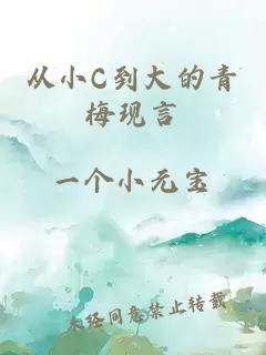 从小C到大的青梅现言