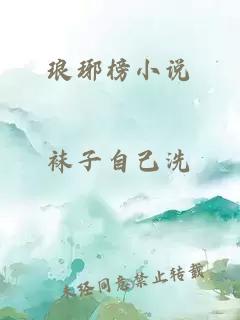 琅琊榜小说