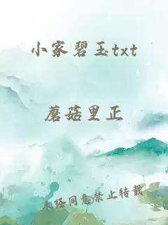 小家碧玉txt