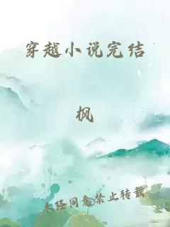 穿越小说完结