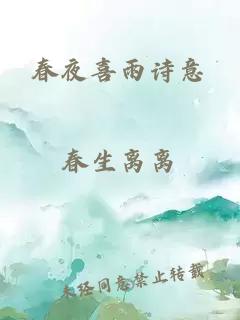 春夜喜雨诗意