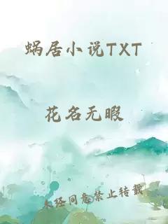 蜗居小说TXT