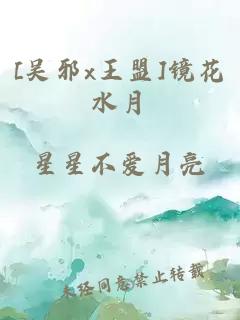 [吴邪x王盟]镜花水月