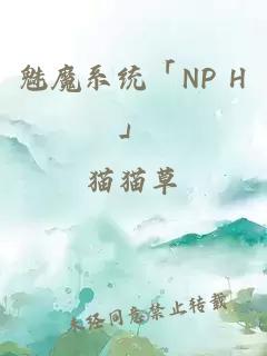 魅魔系统「NP H」