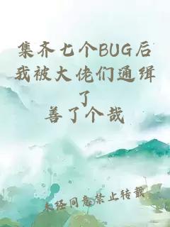 集齐七个BUG后我被大佬们通缉了