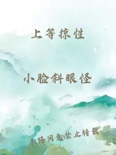 上等掠性