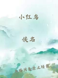 小红鸟