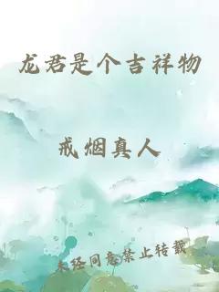 龙君是个吉祥物