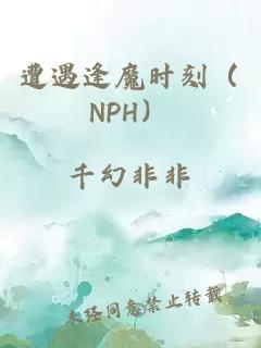 遭遇逢魔时刻（NPH）