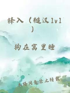 锋入（糙汉1v1）