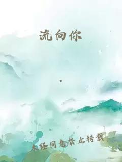 流向你