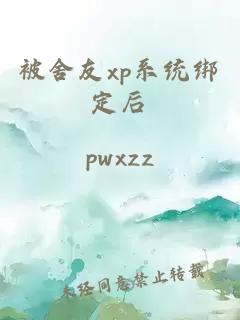 被舍友xp系统绑定后