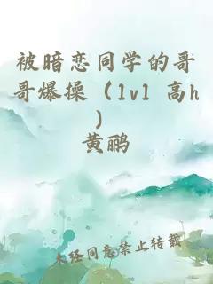 被暗恋同学的哥哥爆操（1v1 高h）