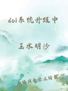 doi系统升级中