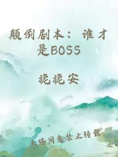 颠倒剧本：谁才是BOSS