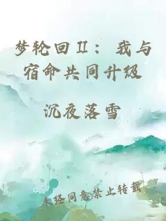 梦轮回Ⅱ：我与宿命共同升级