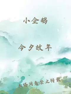 小企鹅