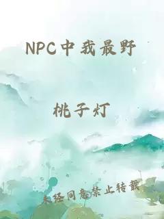 NPC中我最野