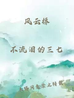 风云桥