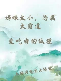 妈咪太小，总裁太霸道