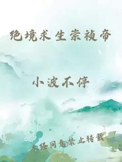 绝境求生崇祯帝