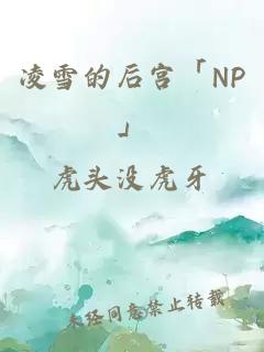 凌雪的后宫「NP」