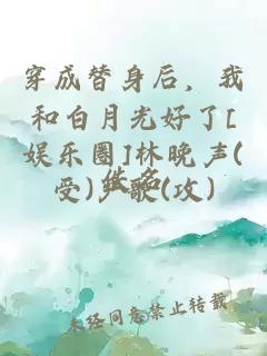 穿成替身后，我和白月光好了[娱乐圈]林晚声(受)严歌(攻)