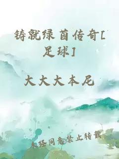 铸就绿茵传奇[足球]