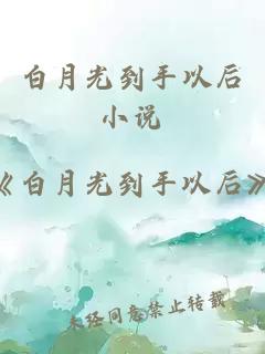 白月光到手以后小说