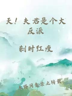 天！夫君是个大反派