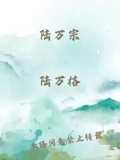 陆万宗