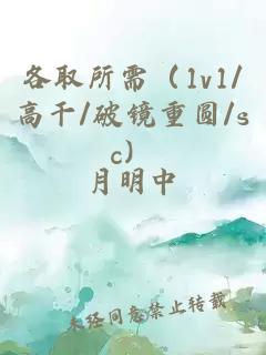 各取所需（1v1/高干/破镜重圆/sc）