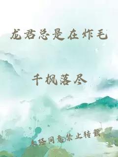 龙君总是在炸毛