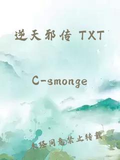 逆天邪传 TXT