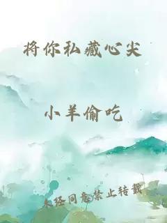 将你私藏心尖